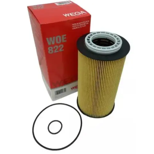 FILTRO LUBRIFICANTE DAF CF85 NEW CF NEW XF XF105 2047411 2151728 2234788 JP004847